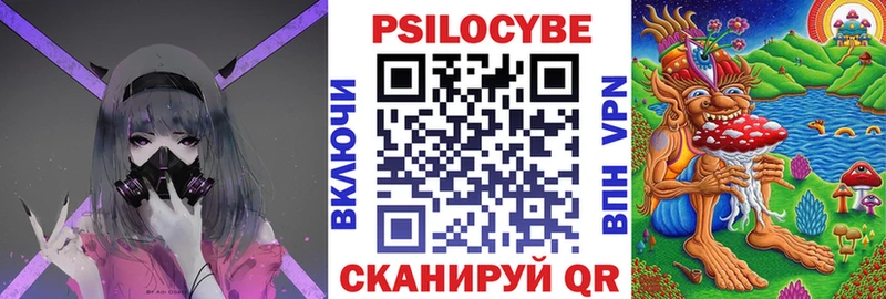 купить  сайты  Камбарка  Псилоцибиновые грибы Psilocybe 